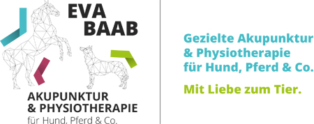 www.eva-baab-tierphysio.de